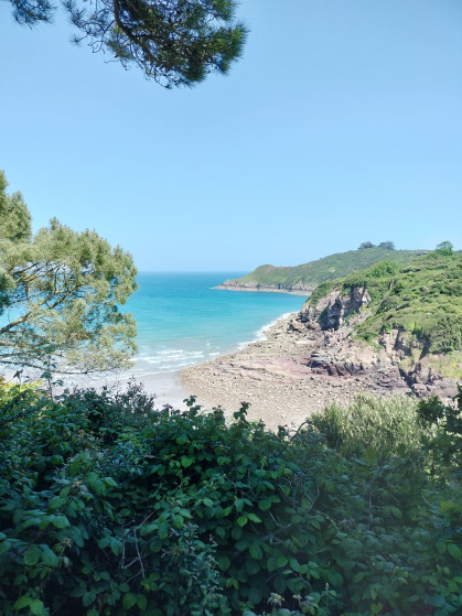 vue sue la pointe de la tour