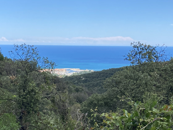 Vue sur Argeles