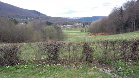 Vue sur Auxelles Bas
