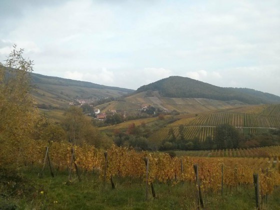 Vue sur Bernarvill&eacute;