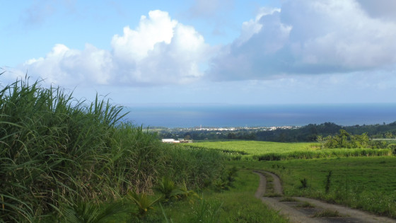 Vue sur Capesterre et Marie Galante