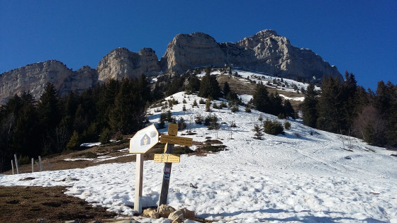 Vue sur Chamechaude environ 500m en dessous.