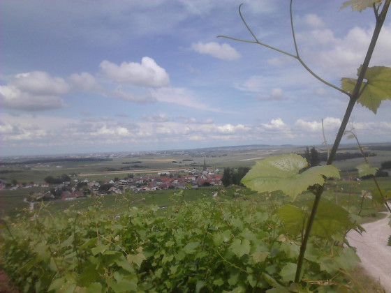 Vue sur Chamery