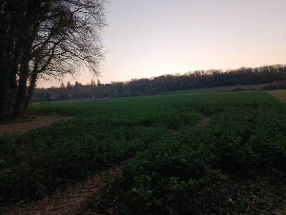 Vue sur champs