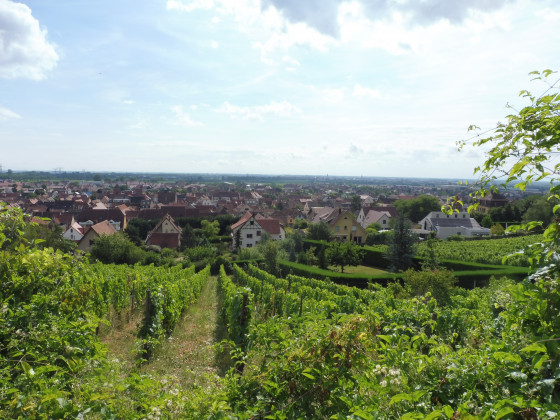 Châtenois