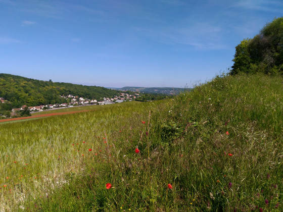 Vue sur collégiale de Mantes La Jolie