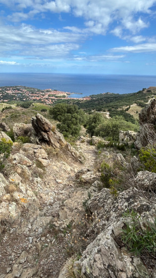 Vue sur Collioure
