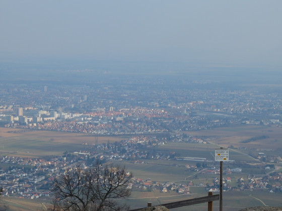 Vue sur Colmar et la plaine d\'Alsace