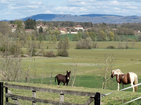 Vue sur Condal