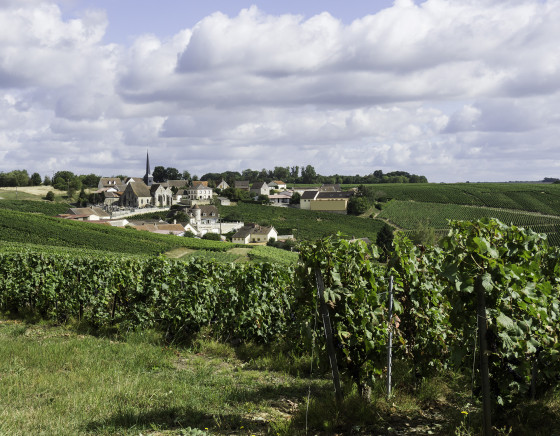 Vue sur Congy
