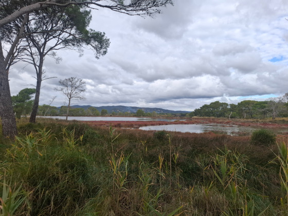 Vue sur des salins