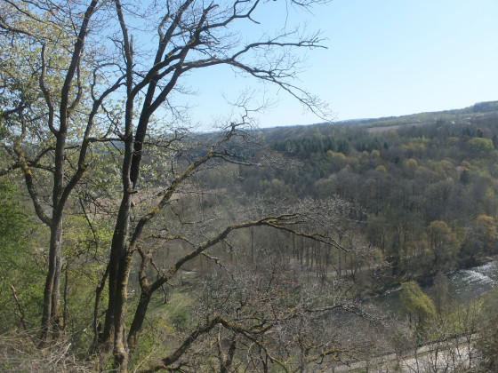 Vue sur Durbuy