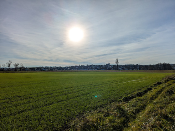 Vue sur Eschentzwiller