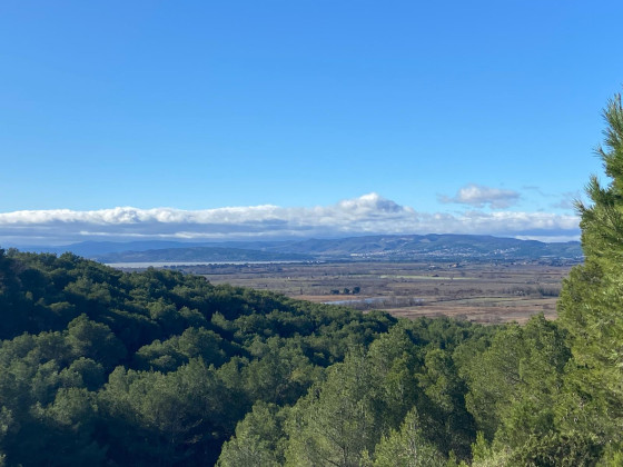 Vue sur Etangs de BAGES