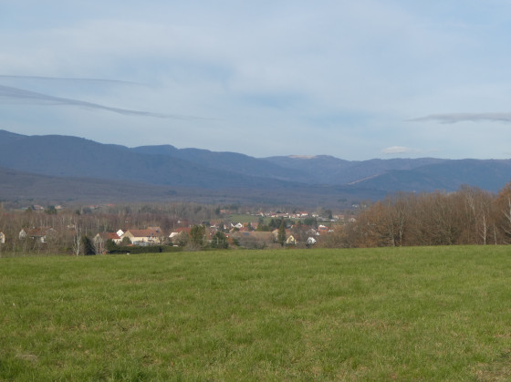 Vue sur Evette Salbert au fond le ballon d'Alsace