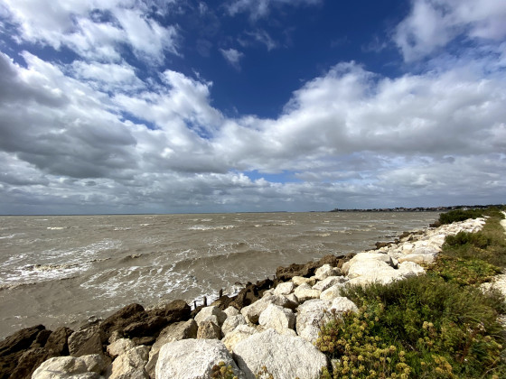 Vue sur Fouras
