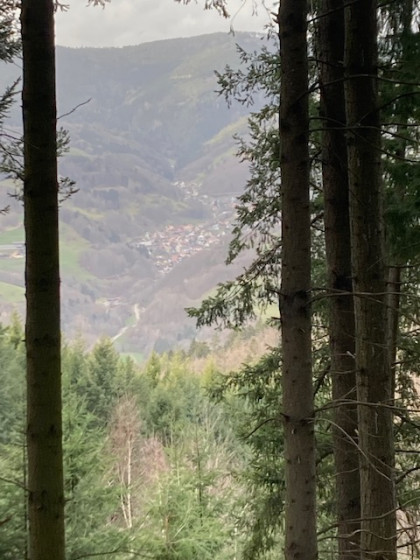 Vue sur Fr&eacute;land