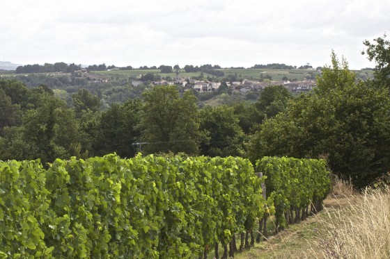 Vue sur gensac