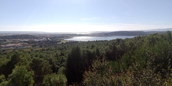 vue sur Gruissan