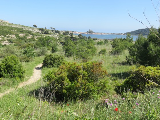 Vue sur Gruissan