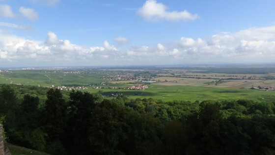 vue sur Gueberschwihr, Pfaffenheim