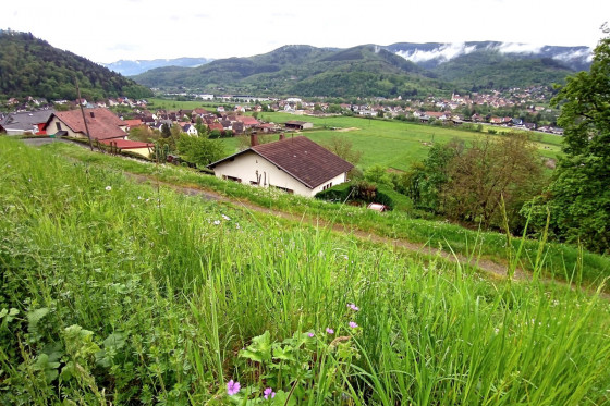 Vue sur Griesbach-au-Val et Munster