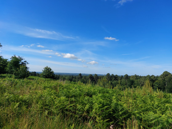 vue sur hauteur de Brain