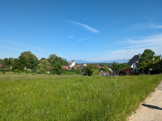 Vue sur Heidwiller