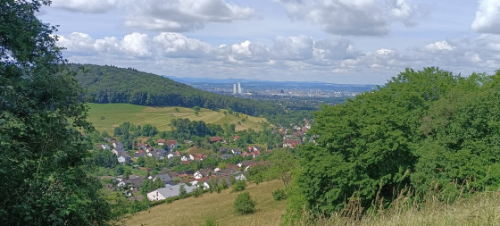 Vue sur Inzlingen et Bâle