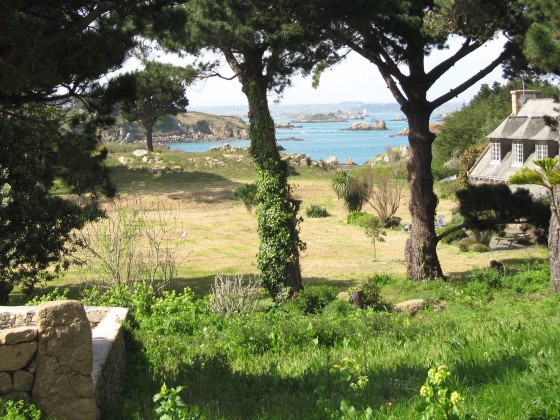 Vue sur jardin...
