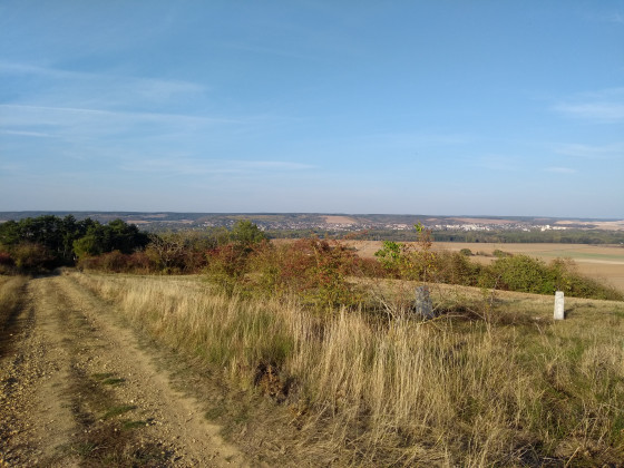 Vue sur Joigny