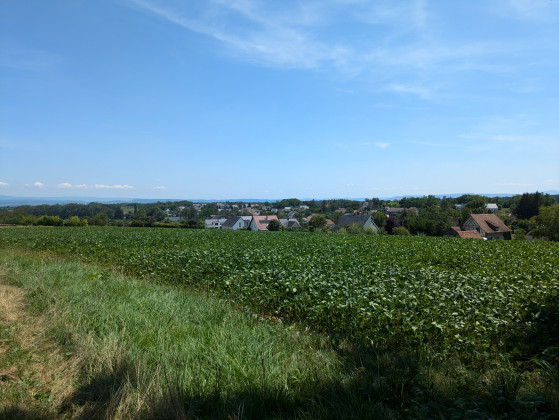 Vue sur Kappelen