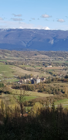 vue sur l'abbaye