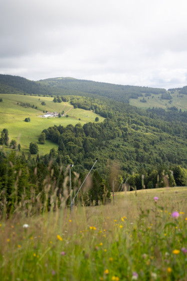 Vue sur l'auberge du Steinlebach depuis la station du Markstein.
