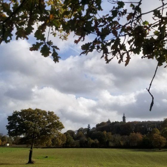 Vue sur l'église de Montautour