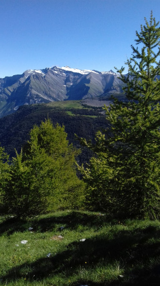 Vue sur l\'Estrop depuis la crête du Carton