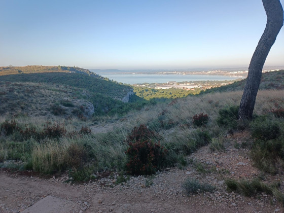 Vue sur l'&eacute;tang de Berre depuis la colline de Vitrolles