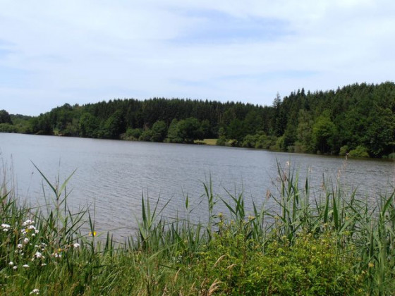 Vue sur l'étang Neuf