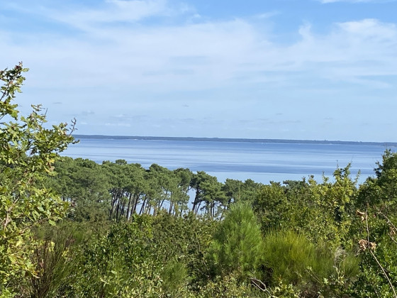 Vue sur l’étang