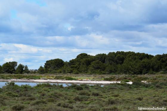 Vue sur l\'étang