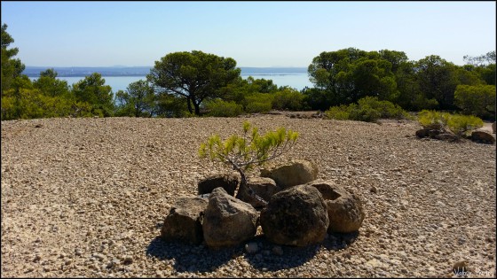 Vue sur l\'étang