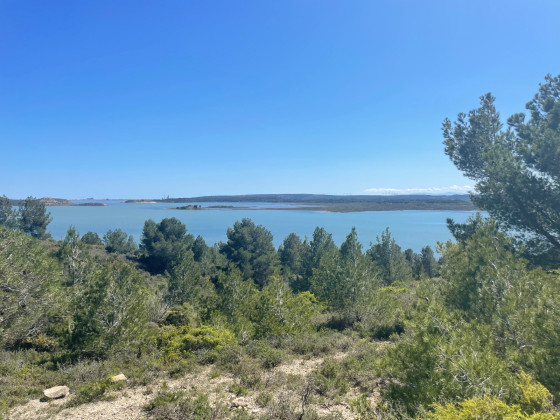 Vue sur l&rsquo;&eacute;tang