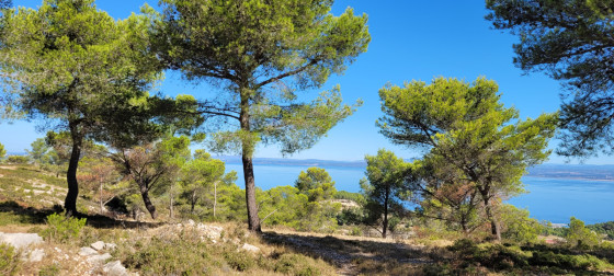 Vue sur l'étang