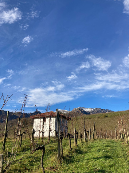 Vue sur l'Etxola de Mignaberry