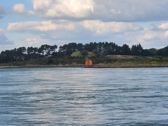 Vue sur l'île de Gabrinis et Er Lannic