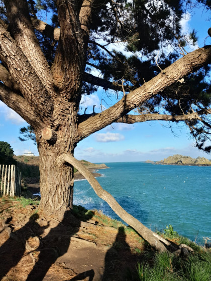 Vue sur l'ile des Landes