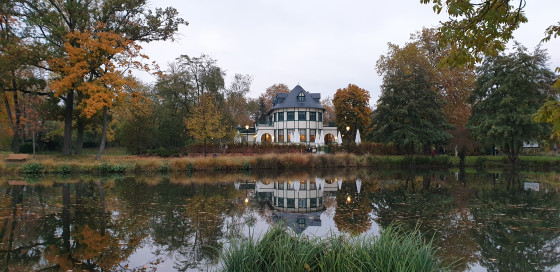 Vue sur l'île et le Pavillon des Ibis