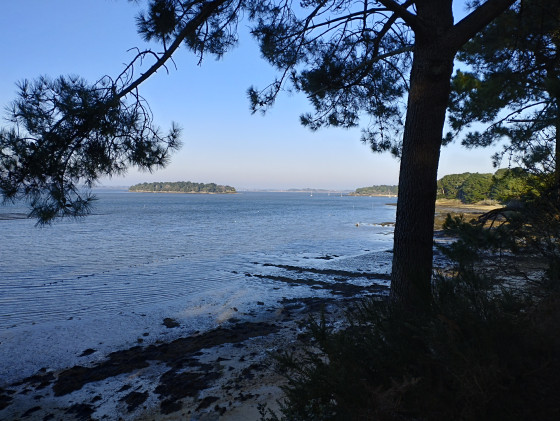 Ile Stibiden