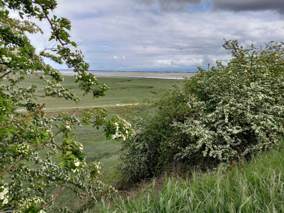 Vue sur la baie