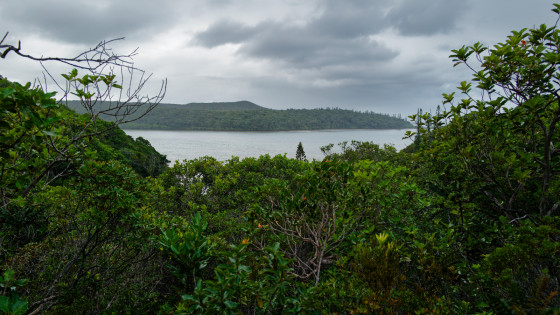 Vue sur la Baie